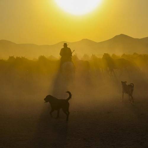 Photo #12974789