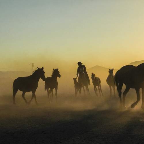 Photo #12974791