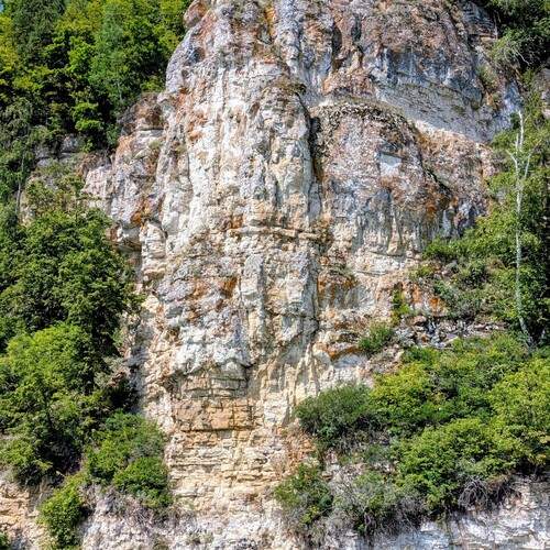 Photo #12975160