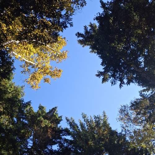 Photo #12975242