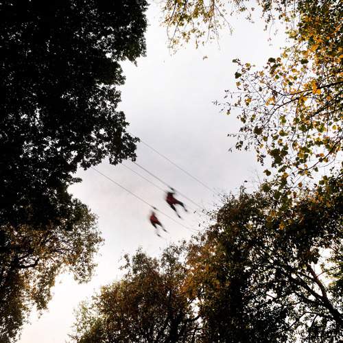 Photo #12975293