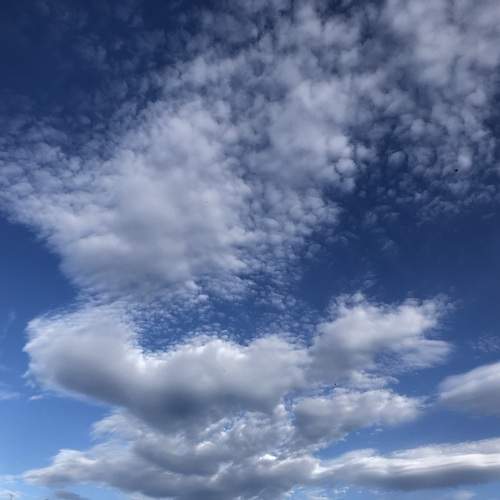Photo #12975370