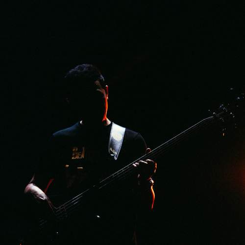 Guitarist