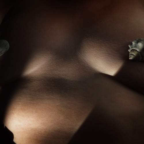Photo #12975962