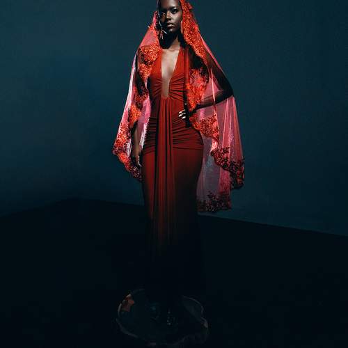 Photo #12976233