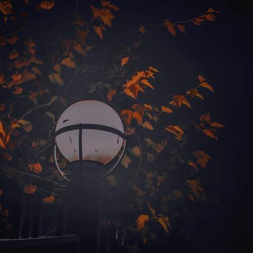 Photo #12976355