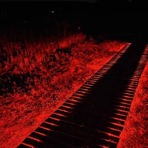 Дорожка к телескопу в Astroglamp