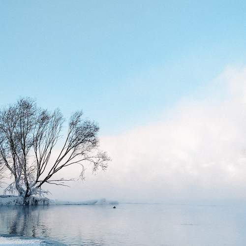 Photo #12976395