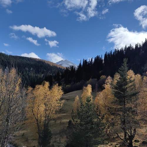 Photo #12976503