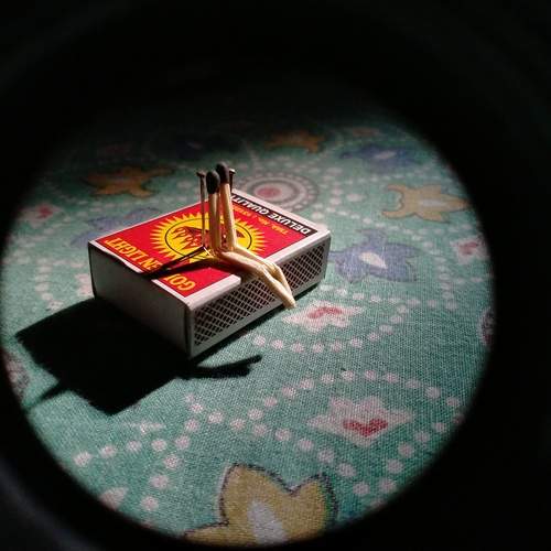 Photo #12976676
