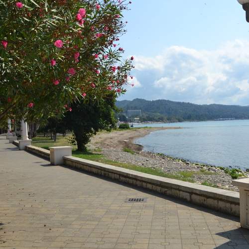 Photo #12976775