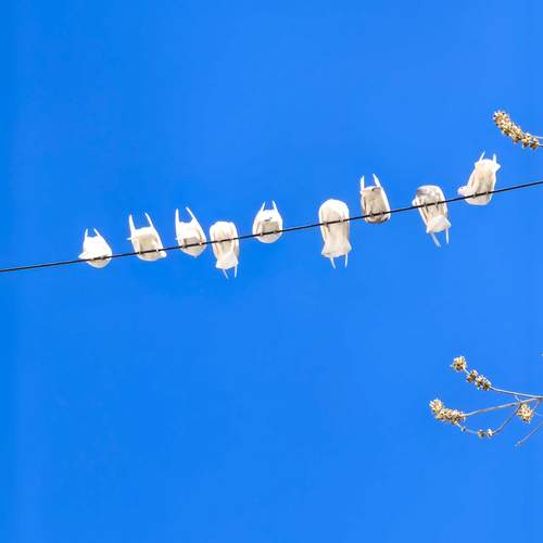 Photo #12976828