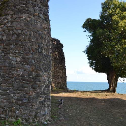 Photo #12976841