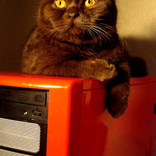 Photo #12977037