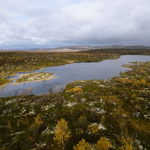 Photo #12977121