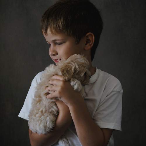 Photo #12977434