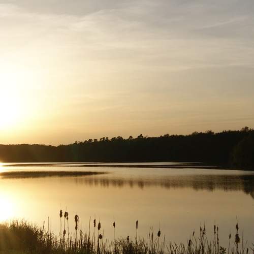 Photo #12977557