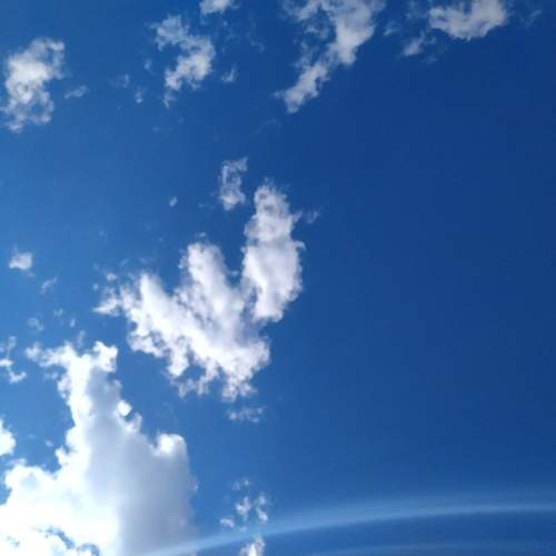 Photo #12977620