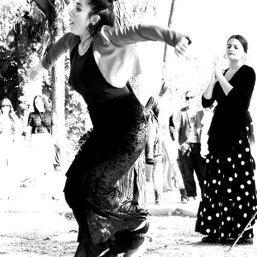 Photo #12978013