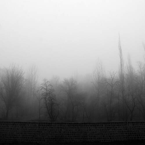 Photo #12978155