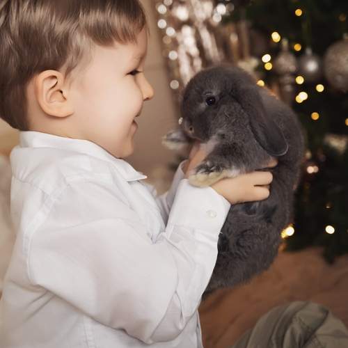 Photo #12978225