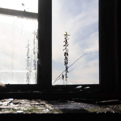 Photo #12978367