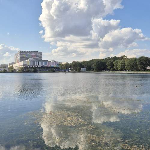 Photo #12978404