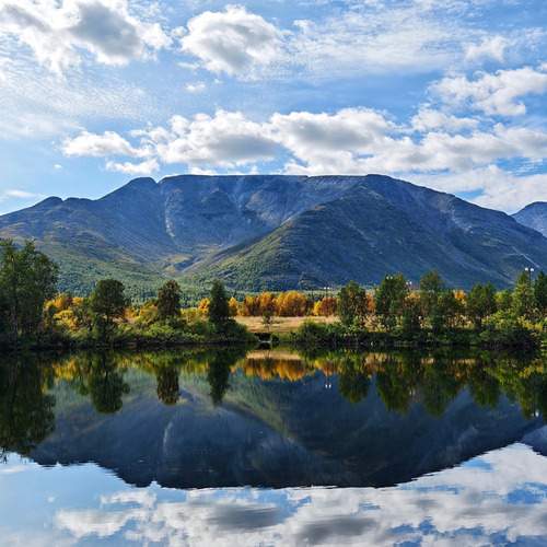 Photo #12978408