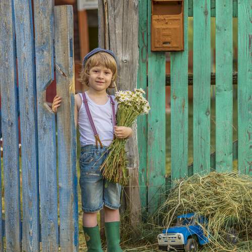 Фотография #12978595