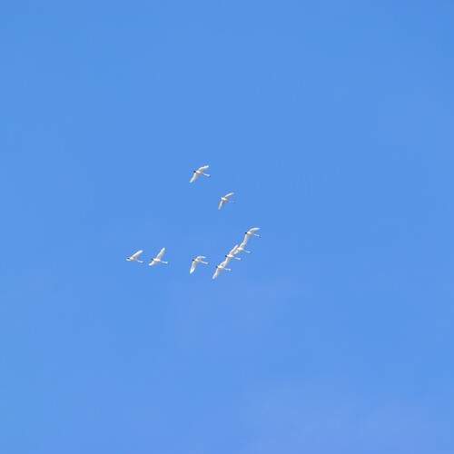 Фотография #12978636