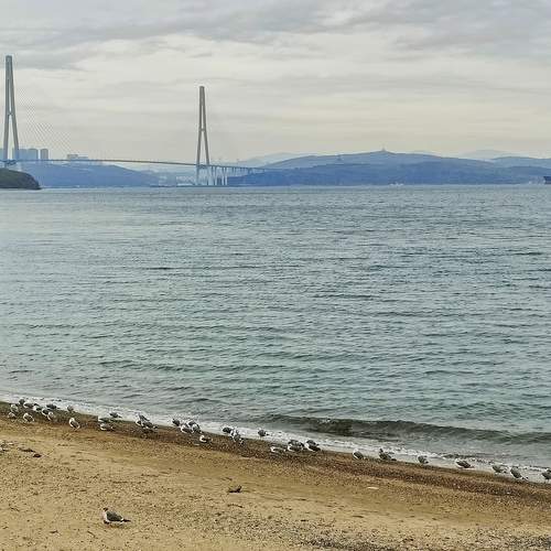 Photo #12978640