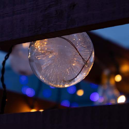 Photo #12979150