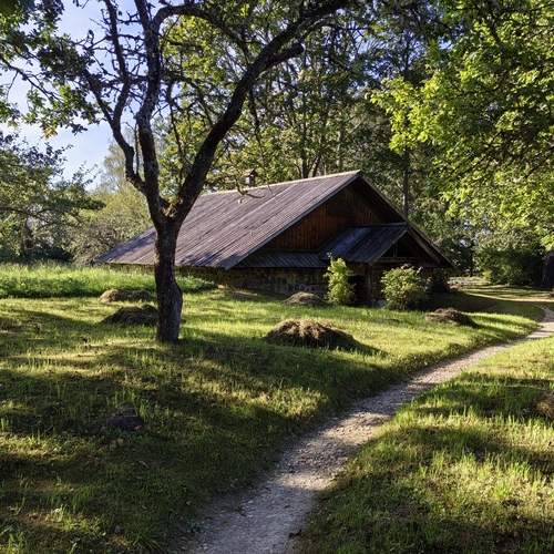 Photo #12979153