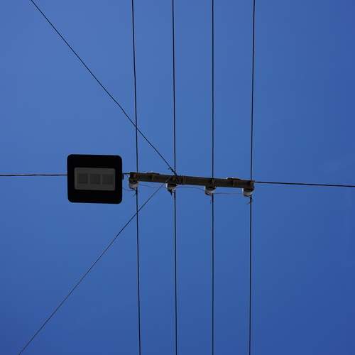 Photo #12979679
