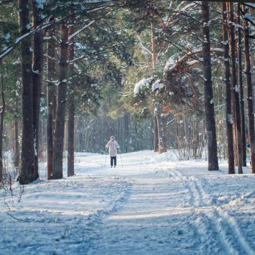 Фотография #12979817