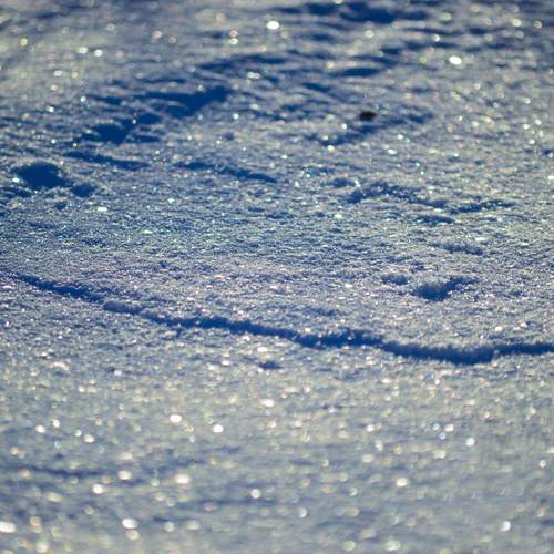 Photo #12979889
