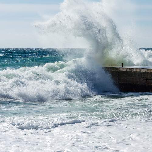 Photo #12979924