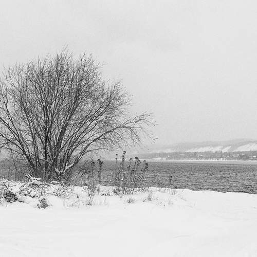 Photo #12979971