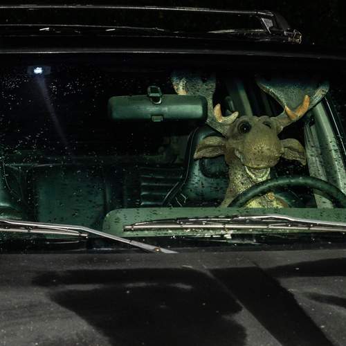 Photo #12980018