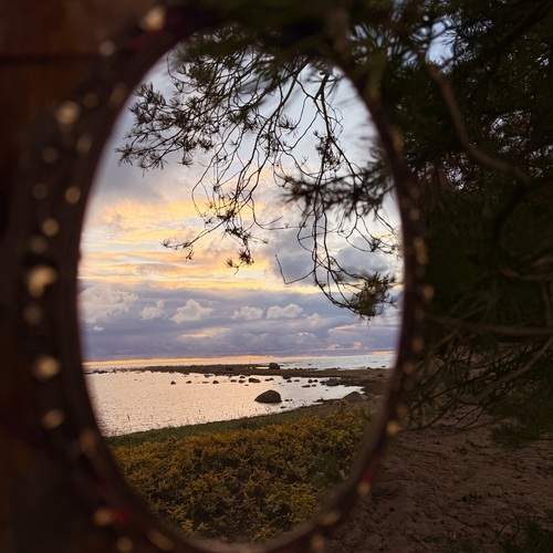 Photo #12980301