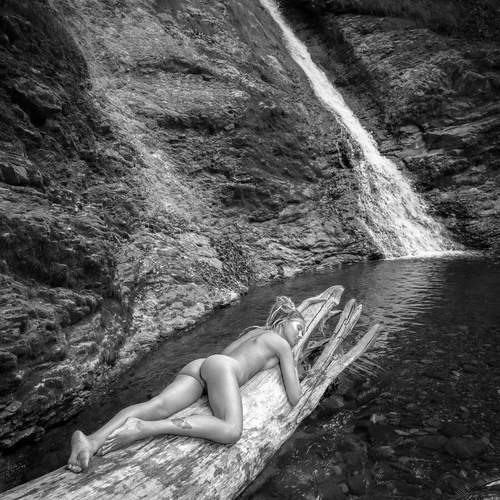 Photo #12980308