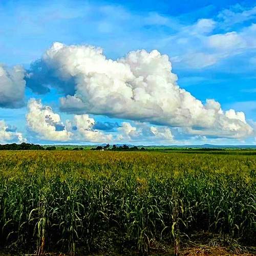 Photo #12980407