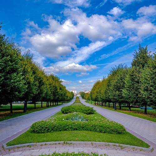 Photo #12980700