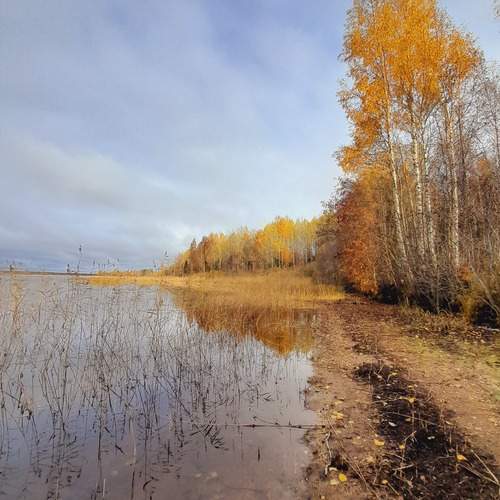 Photo #12980726