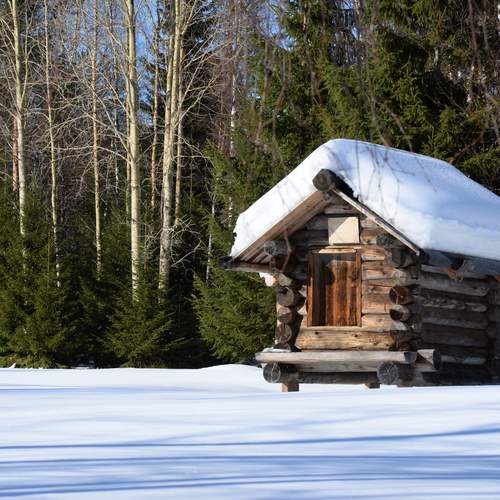 Photo #12980888