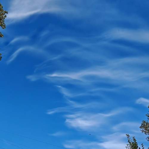 Photo #12980890