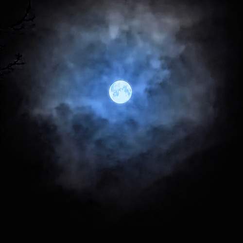 Photo #12981066