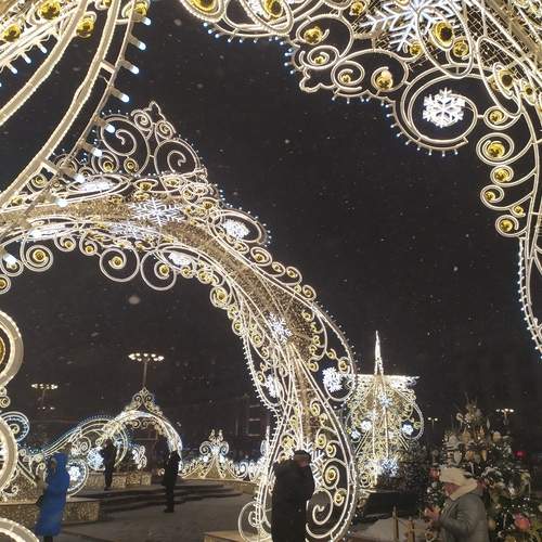 Photo #12981144
