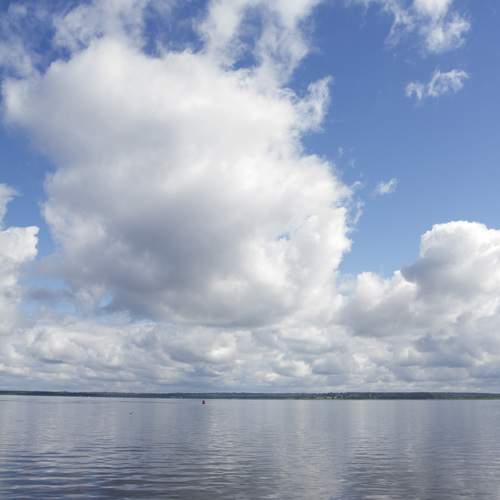 Photo #12981335