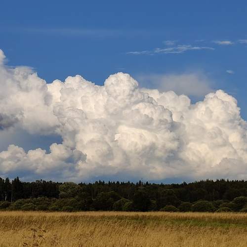 Photo #12981352